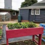 Community Shed next meeting